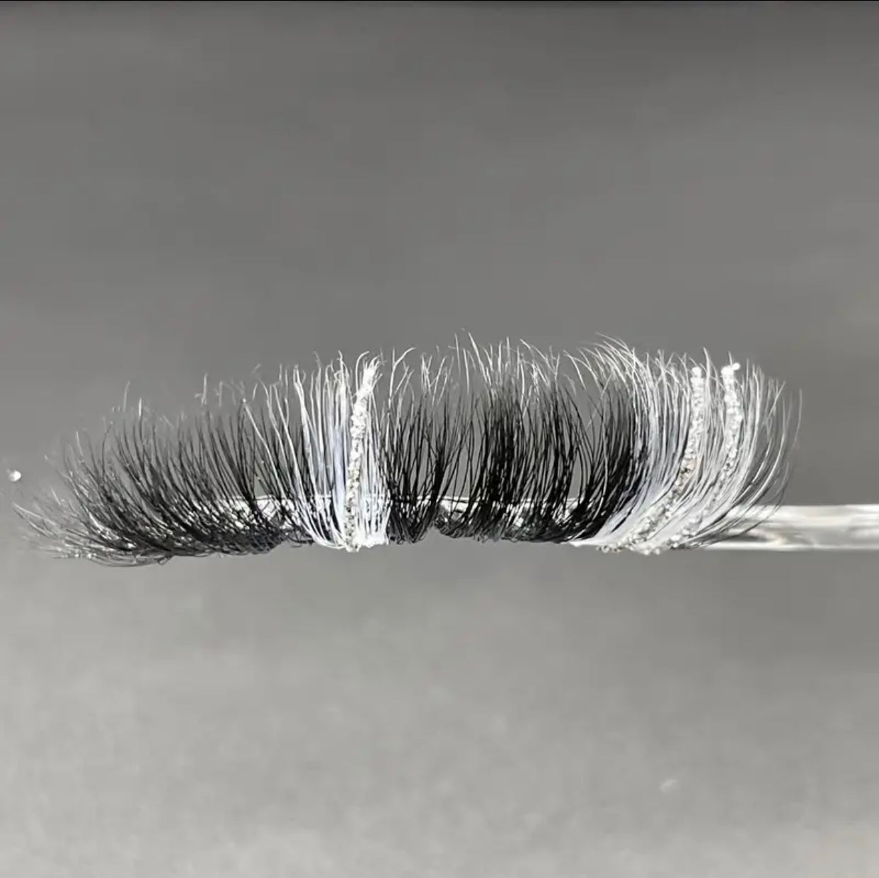 SNOW Lashes
